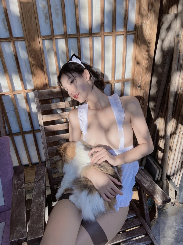女仆与猫 - 就是阿朱啊