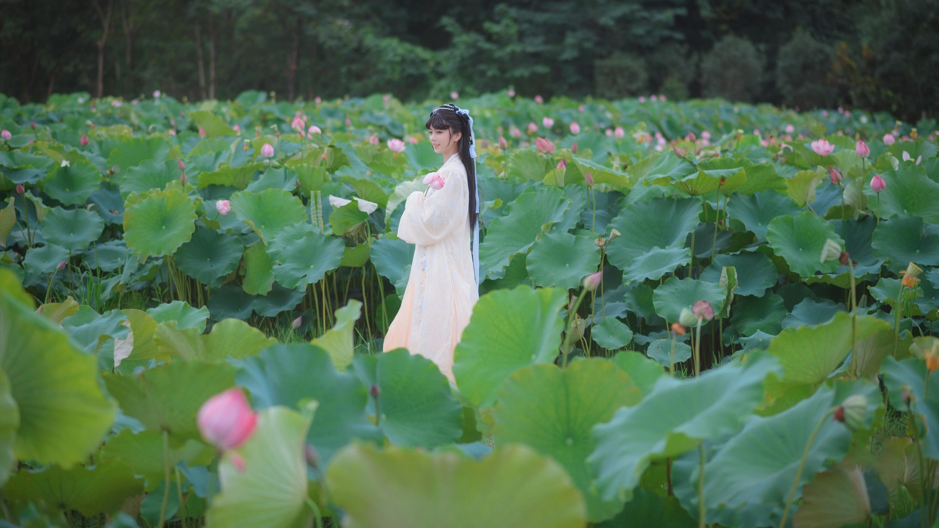 拿相机的执义 - NO.18 『汉服写真』荷叶罗裙一色裁，芙蓉向脸两边开。乱入池中看不见，闻歌始觉有人来。 2